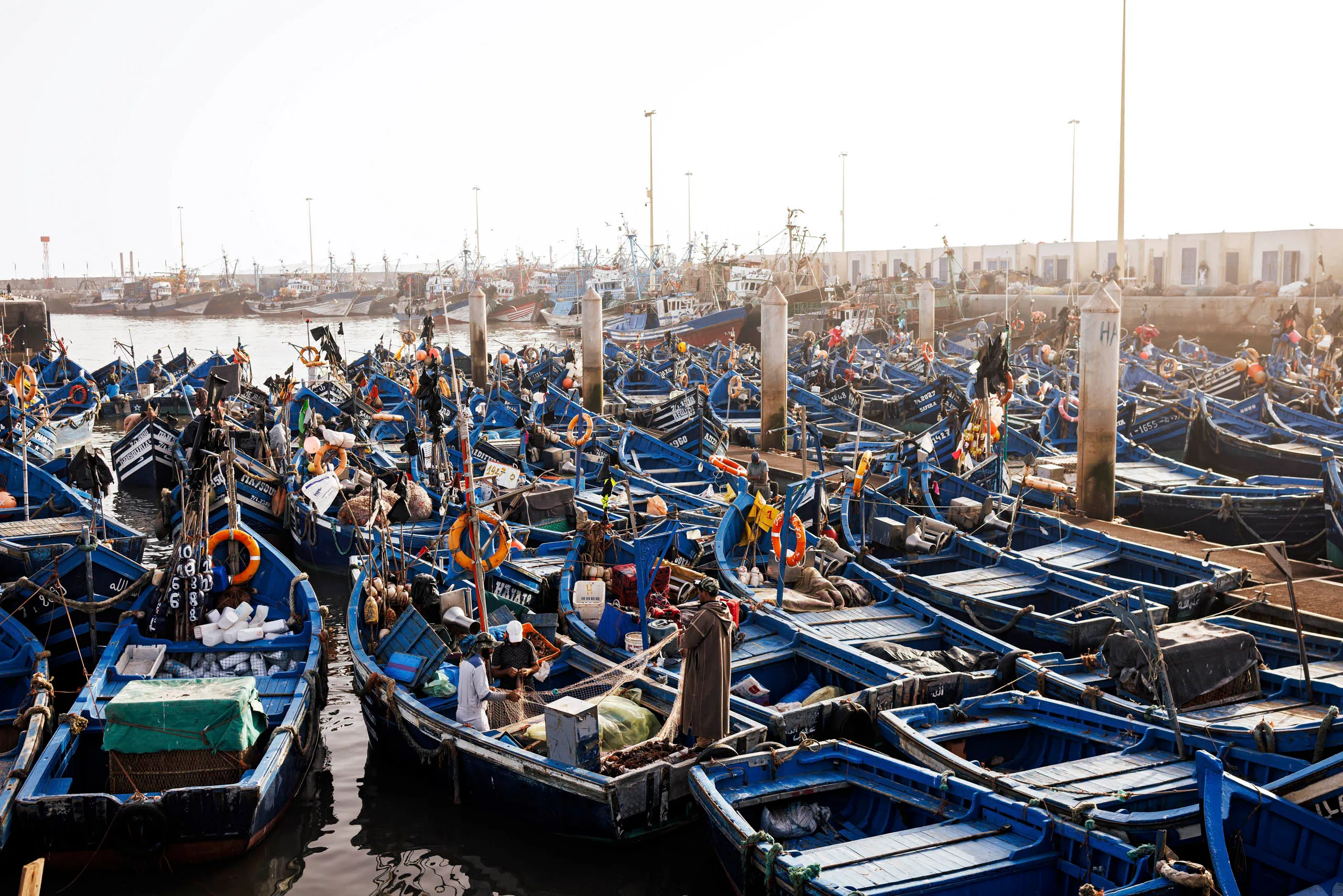 Auf der Aufnahme sieht man den Hafen von Essaouira mit den typischen, blauen Fischerbooten. Etwas Dunst liegt in der Luft und die Abendsonne erleuchtet die Boote.