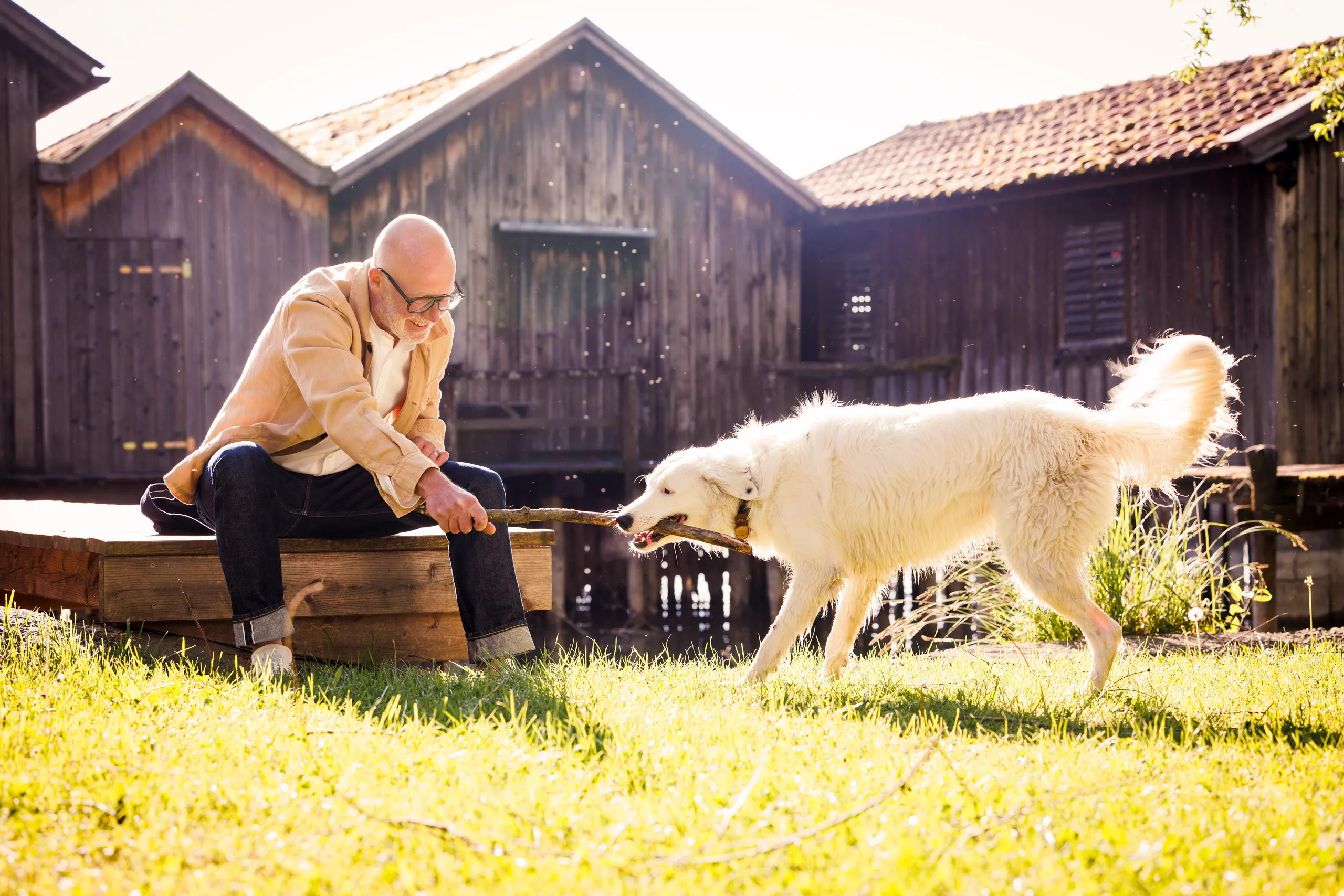 Ein Mann hat einen Stock in der Hand und sitzt vor einem Holzbootshaus am Seeufer. Er spielt. mit einem dreibeinigen weißen Hund, der am Stock zieht. Es gibt ein schönes Gegenlicht und eine sommerliche Stimmung.